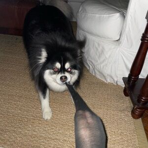 UNLISTED SHOW ITEM 9